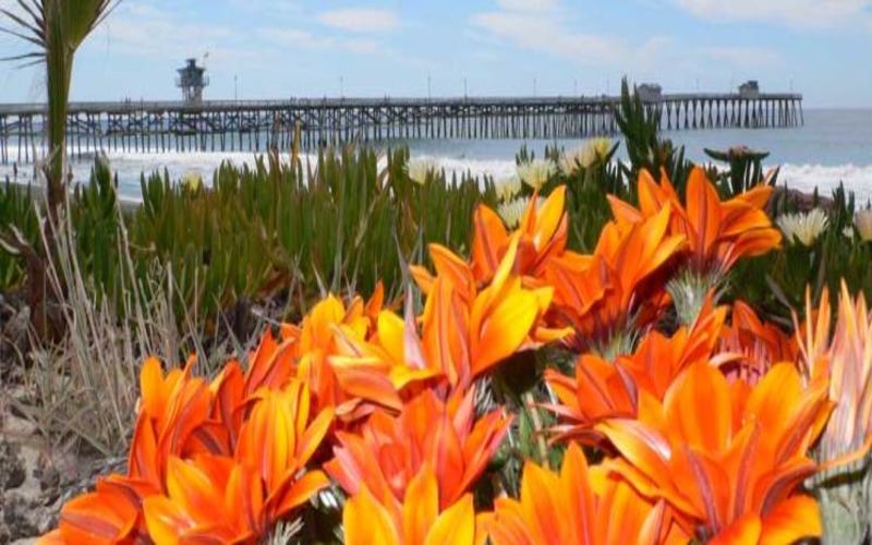 Top 10 Cities To Live in Orange County, CA 11 Orange County - San Clemente